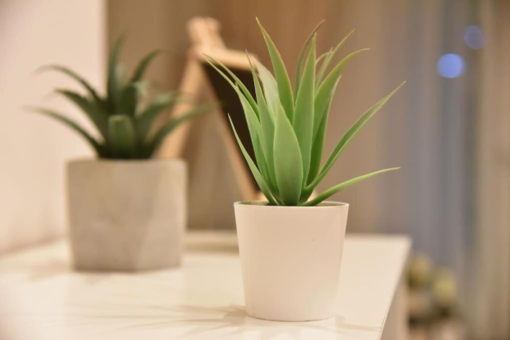 Tiny Treasure Apartment أثينا المظهر الخارجي الصورة